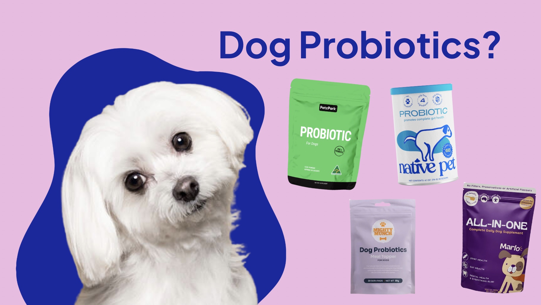 Interested in Probiotics for Pups? Have a read of this!